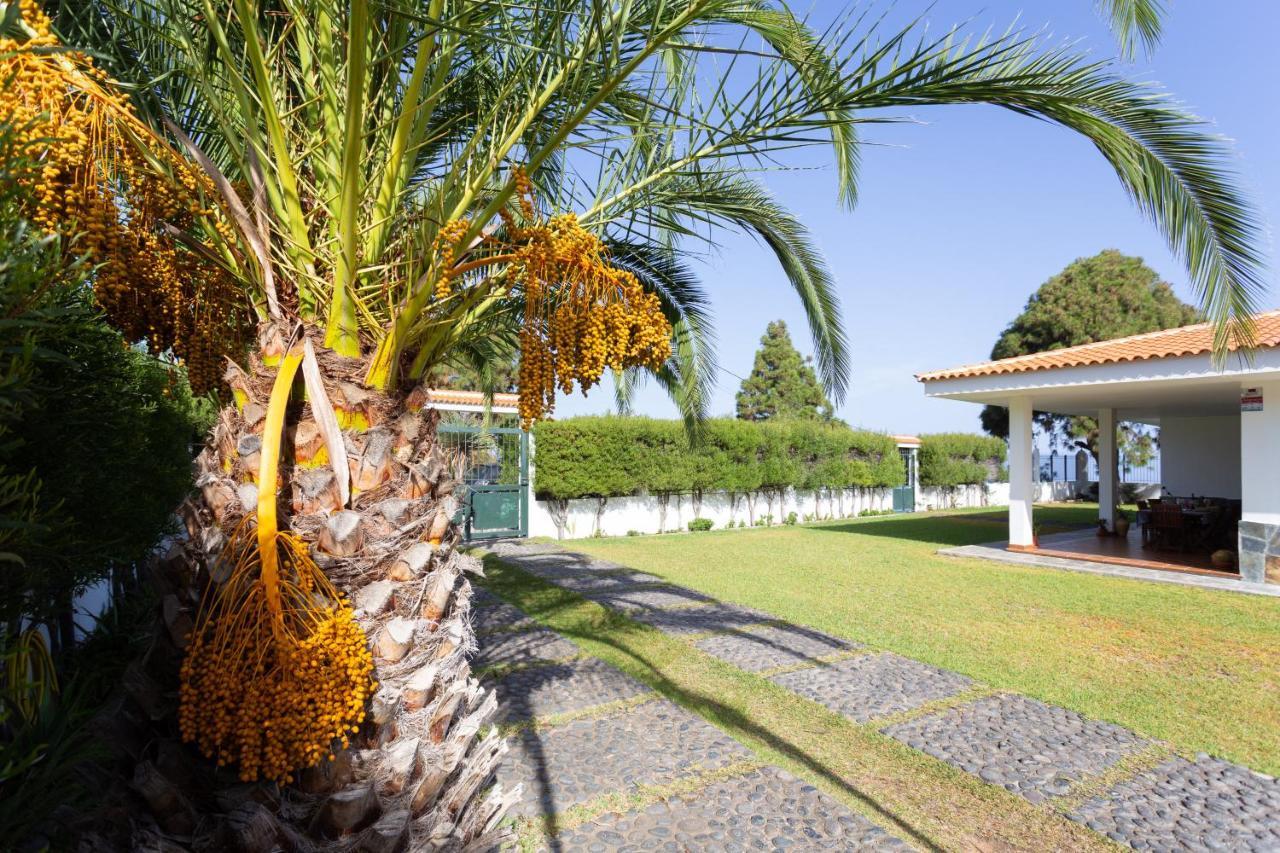 Finca La Vizcondesa Icod de los Vinos Kültér fotó